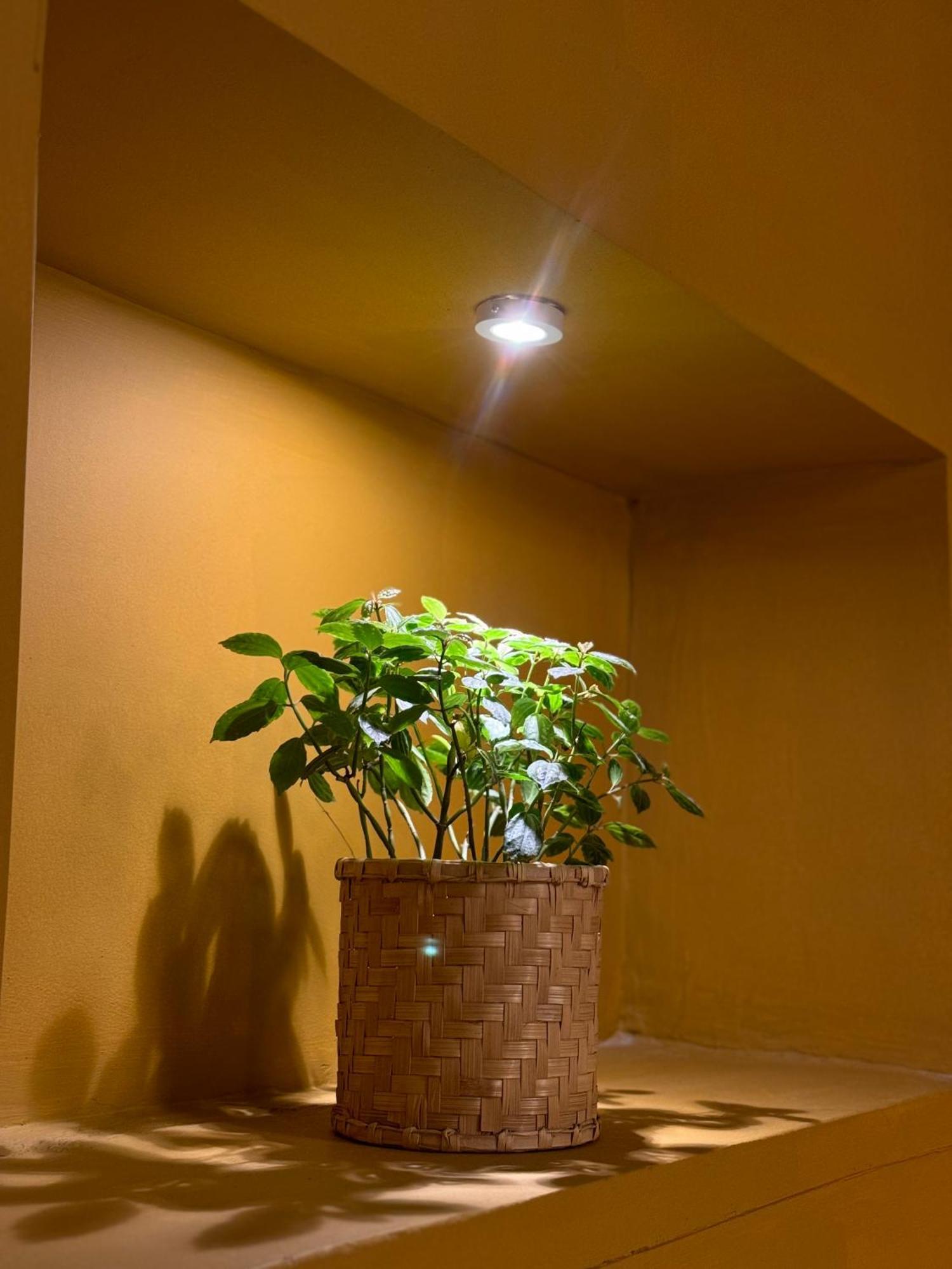 The Melo Pomelo Courtyard. Catmandu Exterior foto